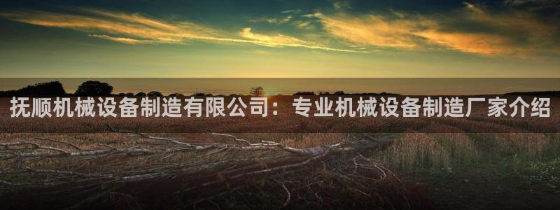 彩神8是正规平台吗安全吗：抚顺机械设备制造有限公司：专业机械设备制造厂家介绍