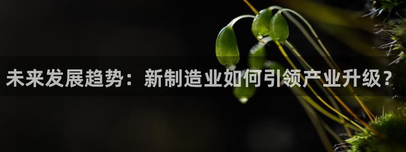 彩神邀请码:00-00-3267：未来发展趋势：新制造业如何