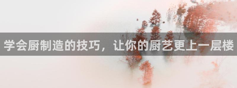 彩神v8是真的挣钱吗：学会厨制造的技巧，让你的厨艺更上一层楼