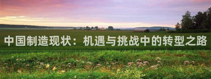 彩神赢的钱是哪里来的啊：中国制造现状：机遇与挑战中的转型之路