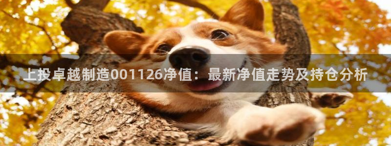 彩神是什么平台：上投卓越制造001126净值：最新净值走势及持仓分析