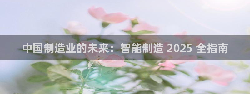彩神网可以赚钱是真的吗：中国制造业的未来：智能制造 2025 全指南