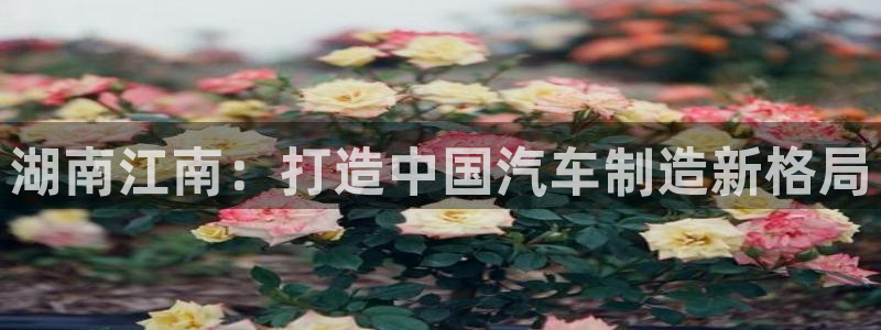 彩神v8手机客户端怎么下载：湖南江南：打造中国汽车制造新格局