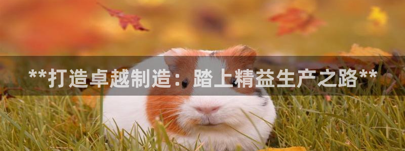 新版彩神v8登录不了：**打造卓越制造：踏上精益生产之路**