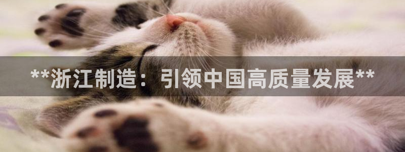 彩神团队是真的吗：**浙江制造：引领中国高质量发展**