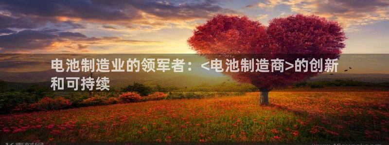 彩神V购彩大厅：电池制造业的领军者：<电池制造商>的创新
和可持续