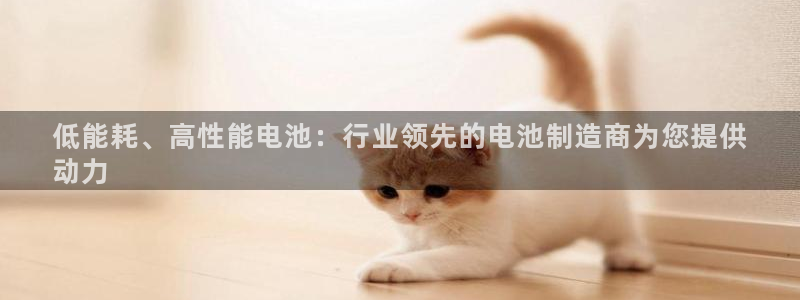 彩神系列平台：低能耗、高性能电池：行业领先的电池制造商为您提供
动力