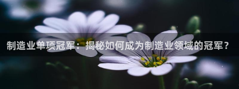 彩神官方网站登录是多少：制造业单项冠军：揭秘如何成为制造业领域的冠军？