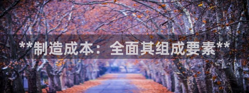 彩神ios下载：**制造成本：全面其组成要素**