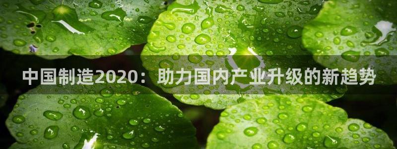 彩神通关注码金码对应码：中国制造2020：助力国内产业升级的新趋势