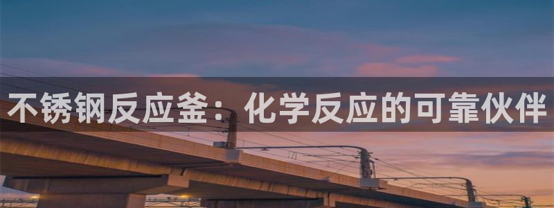 彩神到底能不能赚钱：不锈钢反应釜：化学反应的可靠伙伴