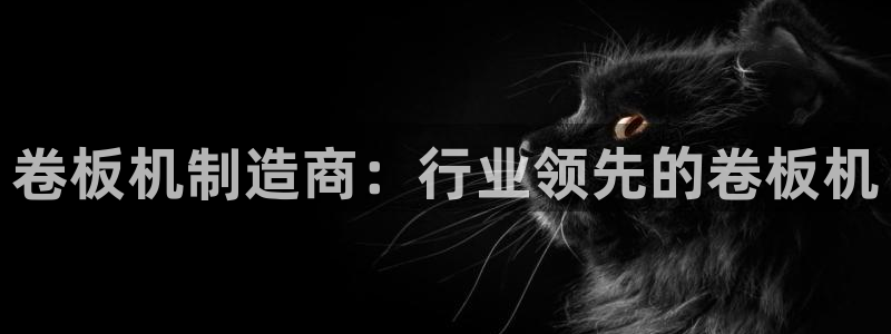 彩神V集团有限公司：卷板机制造商：行业领先的卷板机