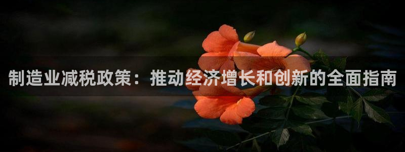 彩神vlll官网网上购彩：制造业减税政策：推动经济增长和创新的全面指南