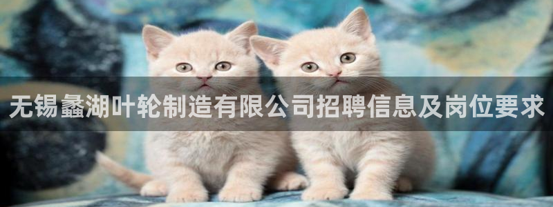 彩神平台之间是什么关系：无锡蠡湖叶轮制造有限公司招聘信息及岗位要求