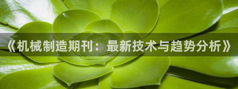 彩神购彩-购彩大厅入口计划群：《机械制造期刊：最新技术与趋势分析》