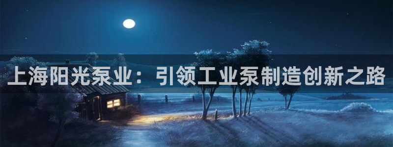 彩神vi官网版：上海阳光泵业：引领工业泵制造创新之路
