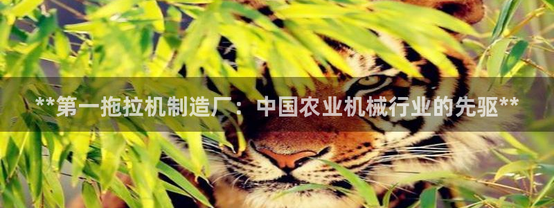 彩神合法吗.是国家认可的吗：**第一拖拉机制造厂：中国农业机械行业的先驱**