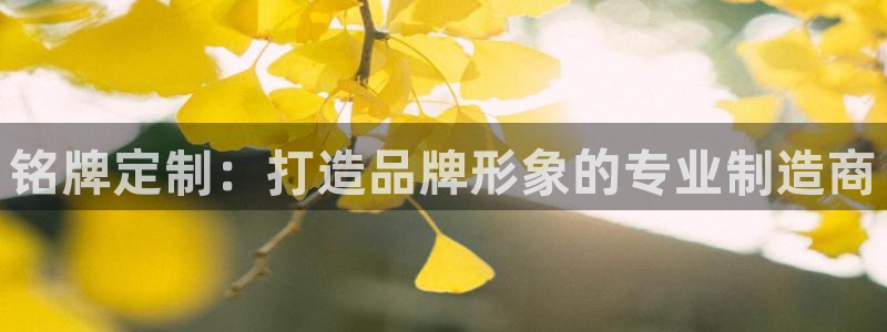 彩神iv真的能赚钱吗：铭牌定制：打造品牌形象的专业制造商