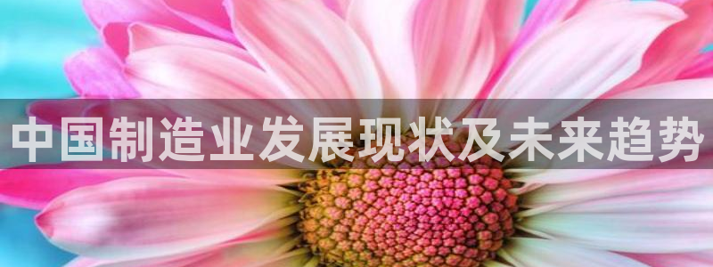 有谁知道彩神争霸的网址：中国制造业发展现状及未来趋势