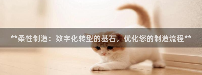 彩神网可以赚钱是真的吗：**柔性制造：数字化转型的基石，优化您的制造流程**