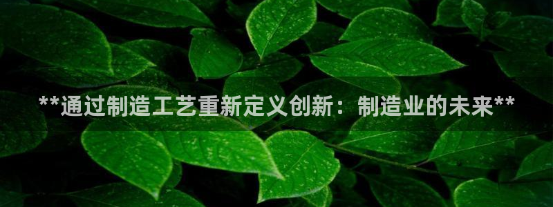 彩神v彩搜狗：**通过制造工艺重新定义创新：制造业的未来**