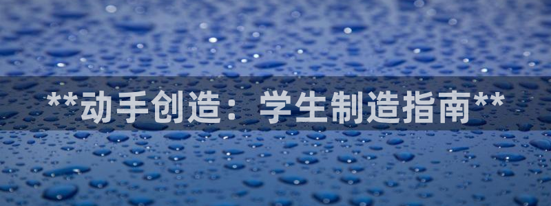 彩神vii官网大赢家：**动手创造：学生制造指南**