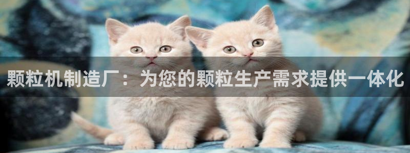 彩神正规吗：颗粒机制造厂：为您的颗粒生产需求提供一体化