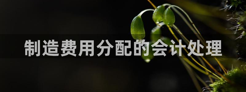 彩神iv真的能赚钱吗：制造费用分配的会计处理