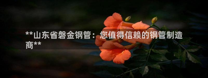 彩神vip购彩大厅下载：**山东省磐金钢管：您值得信赖的钢管制造
商**