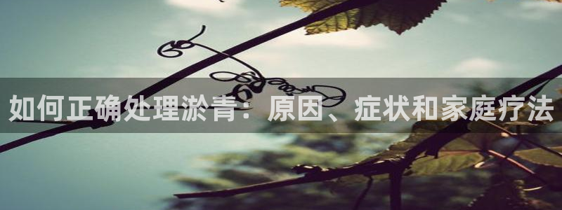 彩神赢钱了吗是真的吗：如何正确处理淤青：原因、症状和家庭疗法