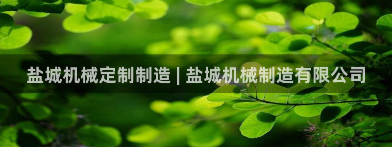 彩神vip购彩：盐城机械定制制造 | 盐城机械制造有限公司