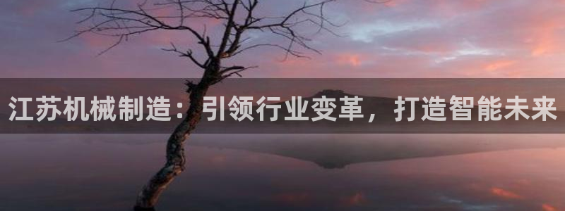彩神viii官网：江苏机械制造：引领行业变革，打造智能未来