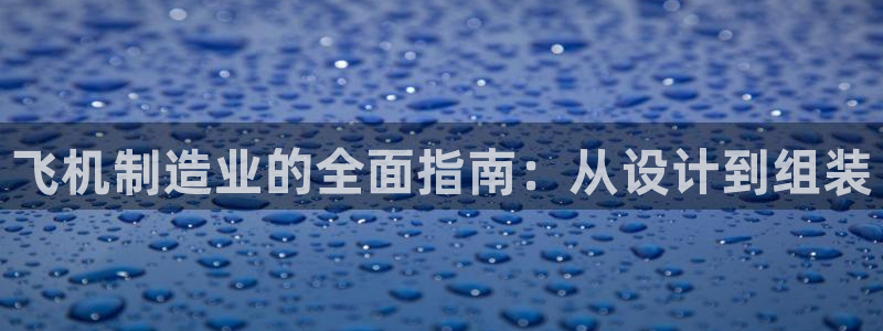 彩神合法吗.是国家认可的吗：飞机制造业的全面指南：从设计到组装