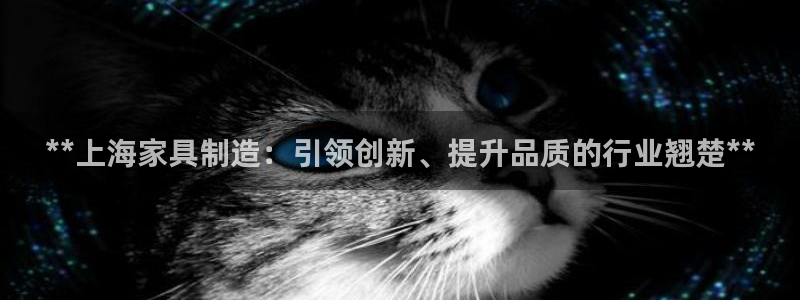 彩神8下载安卓版-彩神8(可提现)官网版1.0.0：**上海家具制造：引领创新、提升品质的行业翘楚**