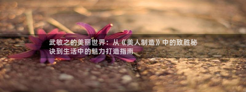 彩神vip官方网站：武敏之的美丽世界：从《美人制造》中的致胜秘
诀到生活中的魅力打造指南