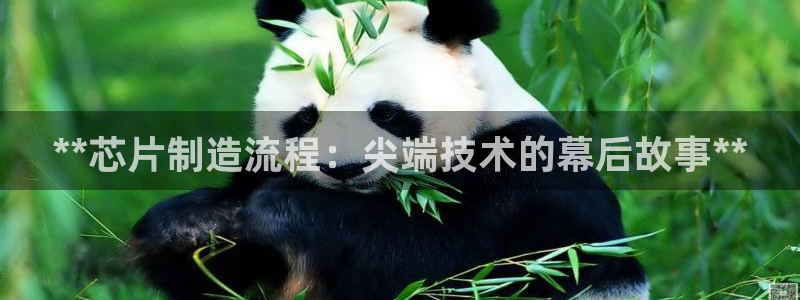 彩神ll能赚钱吗：**芯片制造流程：尖端技术的幕后故事**