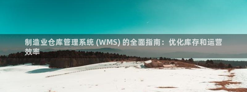 彩神v集团有限公司：制造业仓库管理系统 (WMS) 的全面指南：优化库存和运营
效率