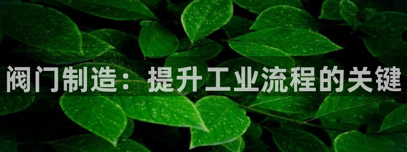 彩神v8几个版本：阀门制造：提升工业流程的关键