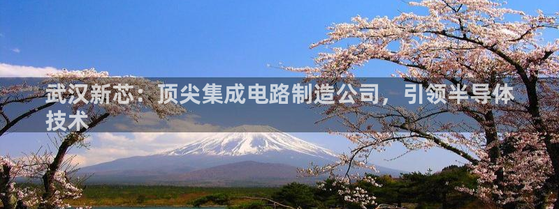 彩神旗下有哪些平台：武汉新芯：顶尖集成电路制造公司，引领半导体
技术