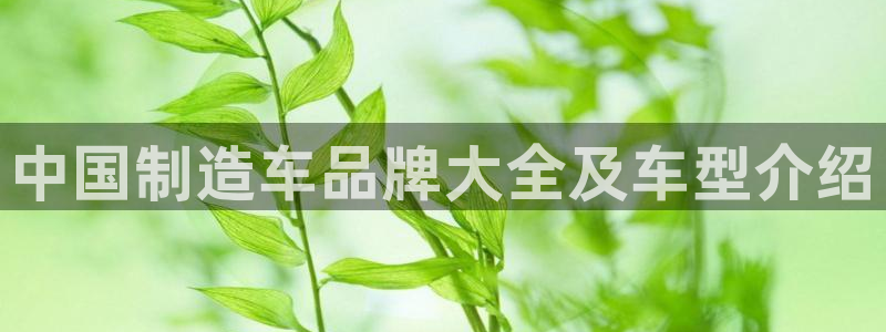 彩神vl购彩大厅：中国制造车品牌大全及车型介绍