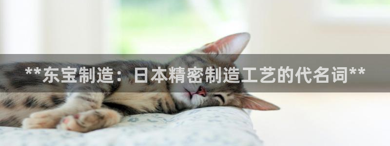 彩神8软件下载：**东宝制造：日本精密制造工艺的代名词**