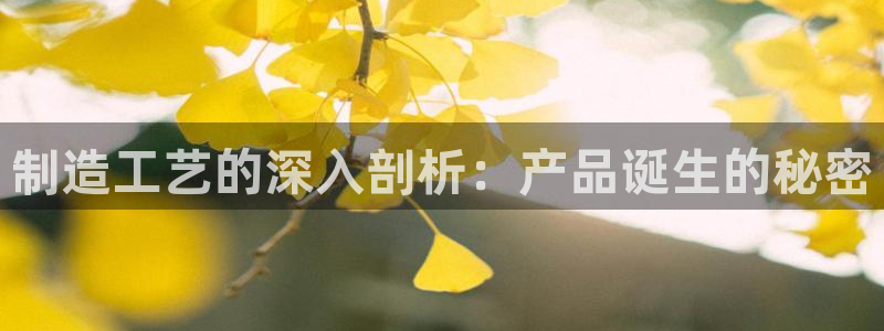 彩神x平台靠什么盈利：制造工艺的深入剖析：产品诞生的秘密