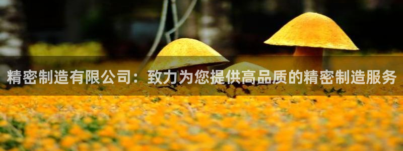 彩神v争霸有限公司：精密制造有限公司：致力为您提供高品质的精