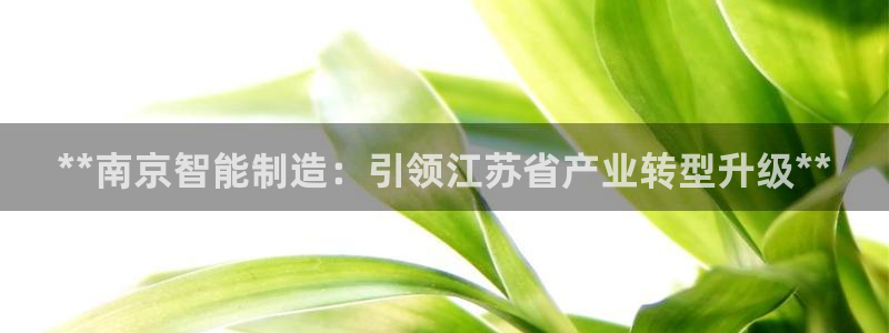 彩神v8是一个什么平台啊：**南京智能制造：引领江苏省产业转型升级**