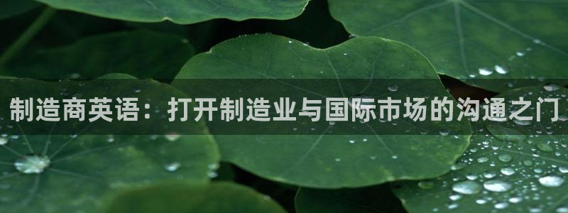 彩神iv真的能赚钱吗：制造商英语：打开制造业与国际市场的沟通之门