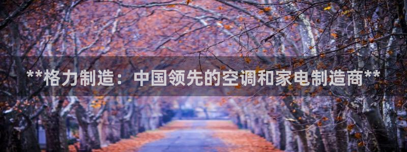 彩神平台可以破解吗：**格力制造：中国领先的空调和家电制造商**