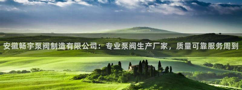 彩神vi争霸官网：安徽畅宇泵阀制造有限公司：专业泵阀生产厂家，质量可靠服务周到