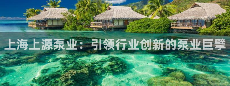 彩神v8下载app：上海上源泵业：引领行业创新的泵业巨擘