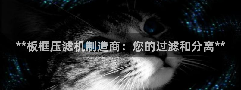 彩神Vll：**板框压滤机制造商：您的过滤和分离**