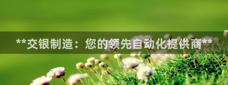 彩神ⅴll是什么样平台：**交银制造：您的领先自动化提供商**